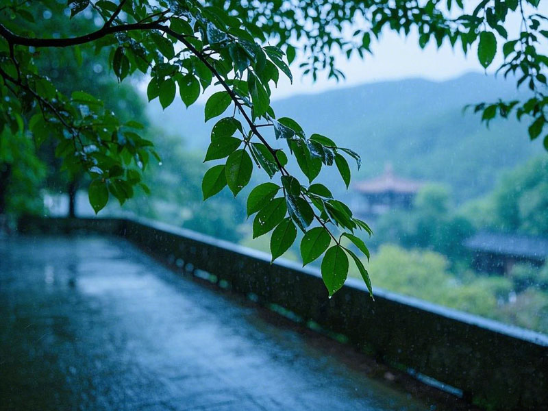 梅雨季节怎么做好地下室车库的防潮除湿工作？